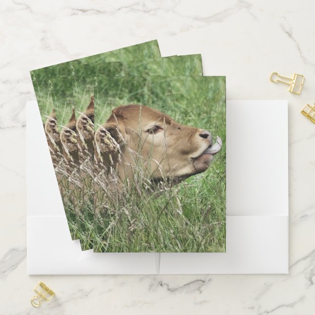 COW POCKET FOLDER (In Situ)