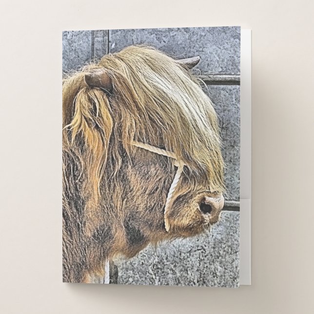 COW POCKET FOLDER (Front)