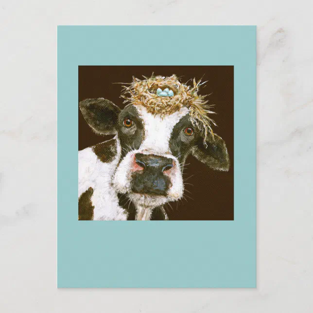 cow postcard | Zazzle