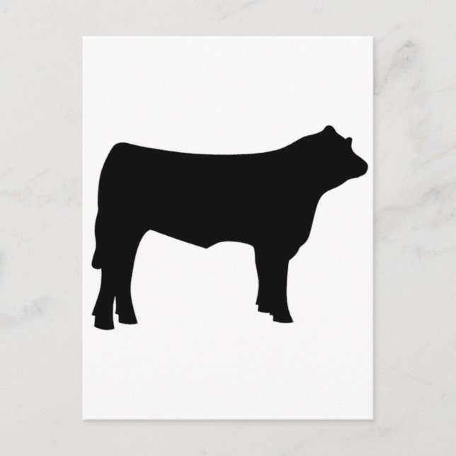 cow postcard (Front)