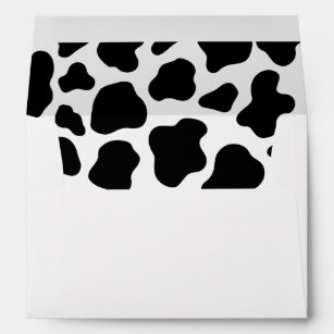 Cow Print Holy Cow Birthday Cow Pattern Envelope