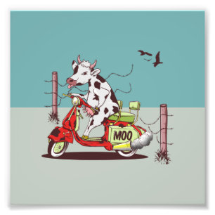 Cow riding a moped photo print