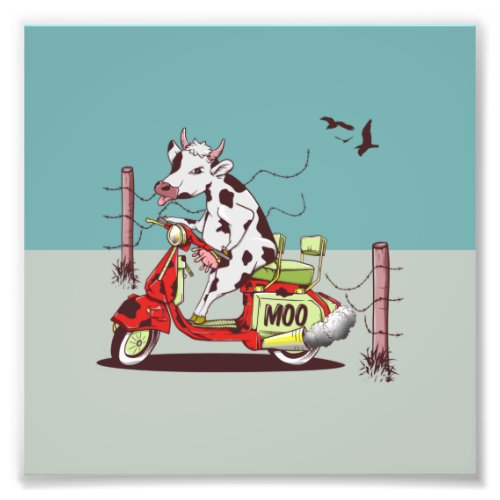 Cow riding a moped photo print