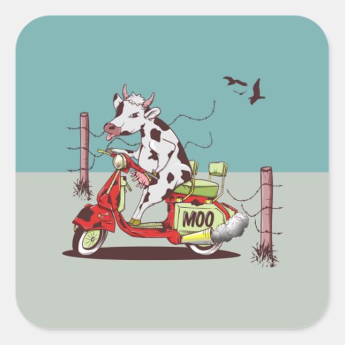Cow riding a moped square sticker