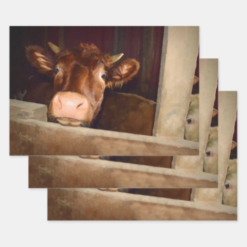 Cow Rustic Brown Country Barn Funny Farm Wrapping Paper Sheets