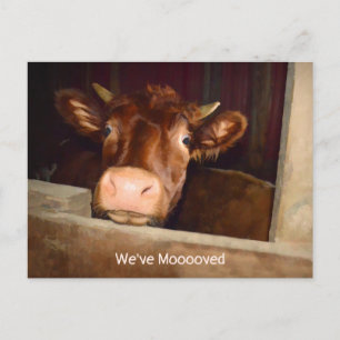 Cow Rustic Country Barn Funny Farm Moving Card
