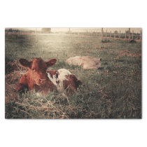 Cow Rustic Country Farmhouse Decoupage Tissue Paper