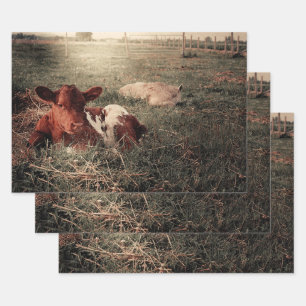 Cow Rustic Country Farmhouse Decoupage Wrapping Paper Sheets