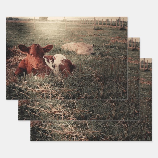 Cow Rustic Country Farmhouse Decoupage Wrapping Paper Sheets (Set)