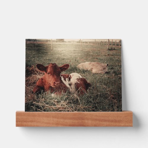 Cow Rustic Country Farmhouse Picture Ledge