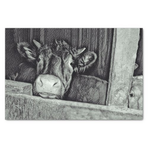 Cow Rustic Vintage Black And White Country Barn Tissue Paper