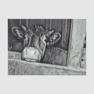 Cow Rustic Vintage Black And White Country Barn Tissue Paper