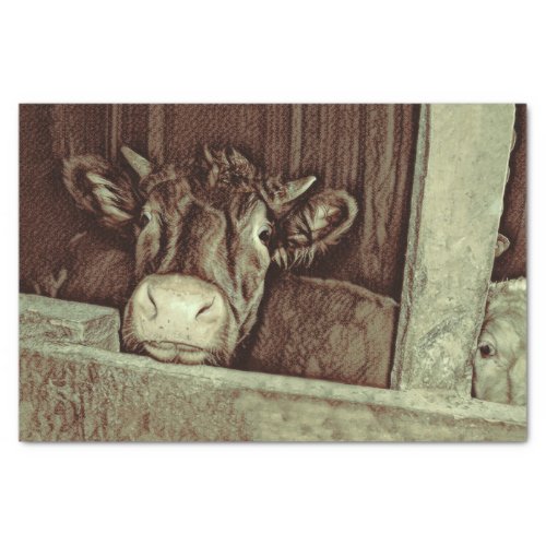 Cow Rustic Vintage Brown Sketch Art Country Barn Tissue Paper