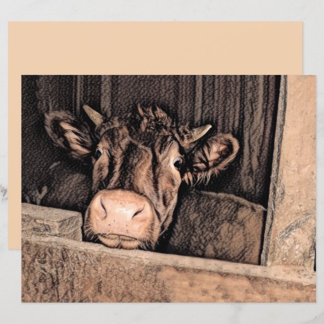 Cow Rustic Vintage Sketch Art Country Barn Farm (Front/Back)
