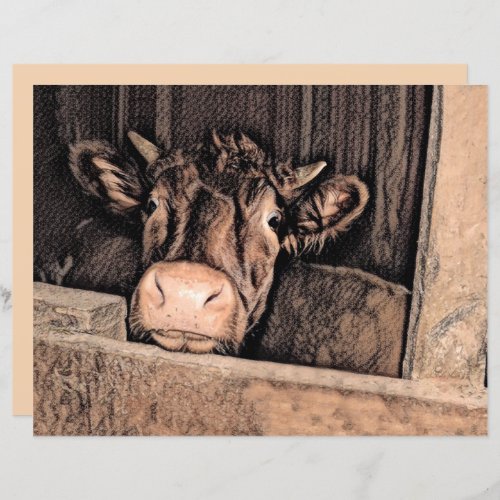 Cow Rustic Vintage Sketch Art Country Barn Farm