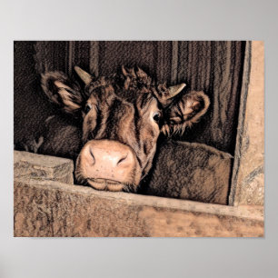 Cow Rustic Vintage Sketch Art Country Barn Farm Poster