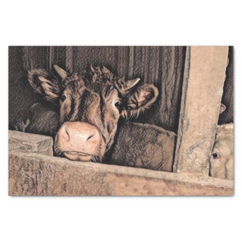 Cow Rustic Vintage Sketch Art Country Barn Farm Tissue Paper