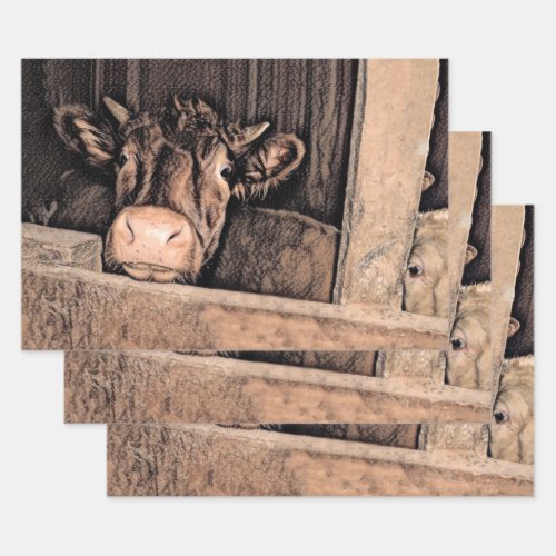 Cow Rustic Vintage Sketch Art Country Barn Farm Wrapping Paper Sheets