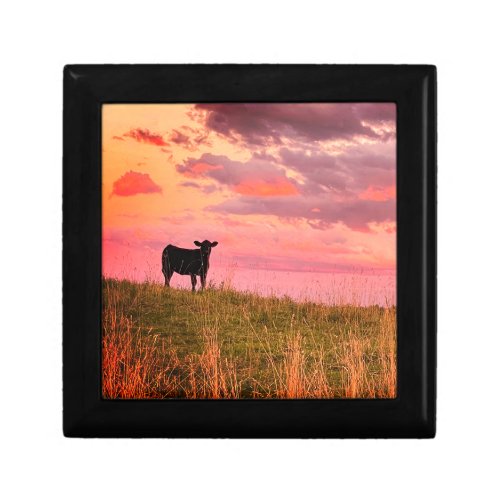 Cow Silhouette at Sunset Gift Box