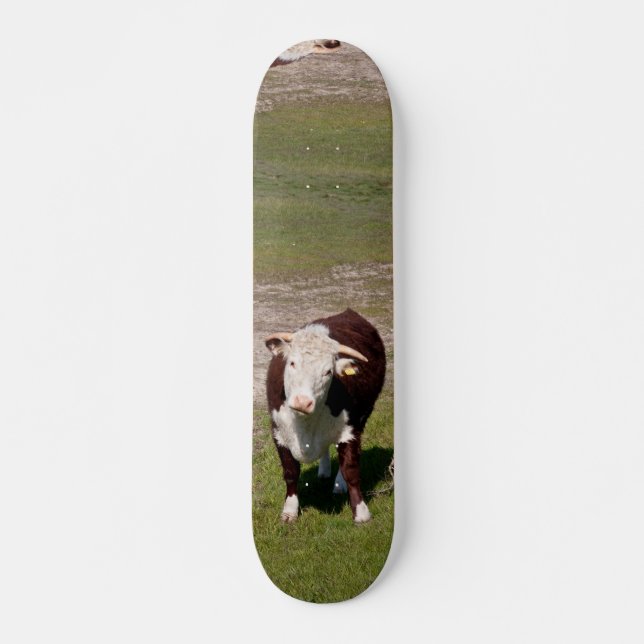 Cow skateboard deck (Front)