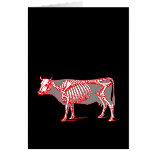 Cow skeleton cards (Front)