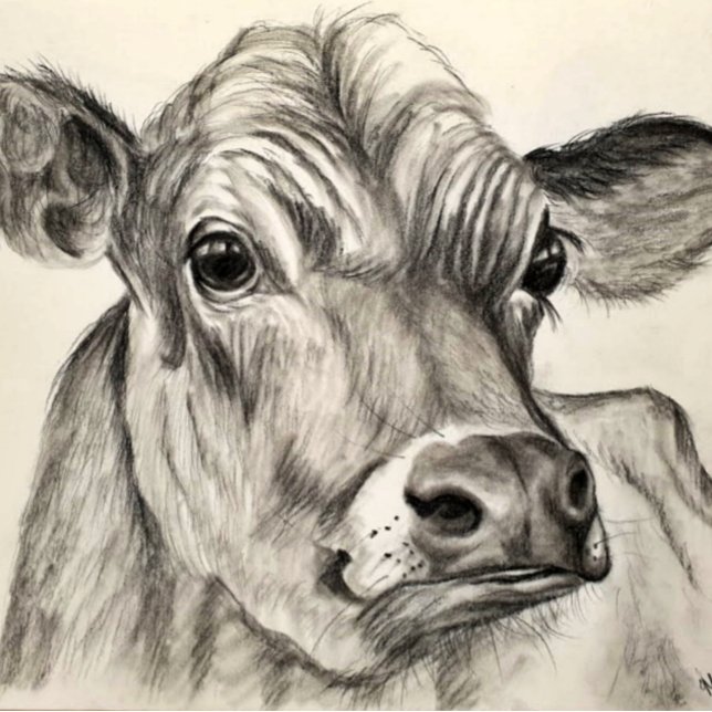 Cow Sketch Puzzle (Creator Uploaded)
