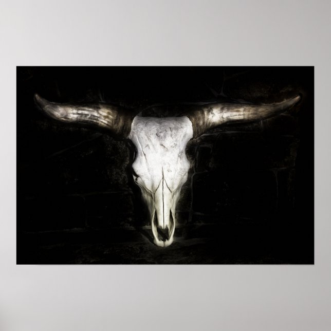Cow Skull Poster (Front)
