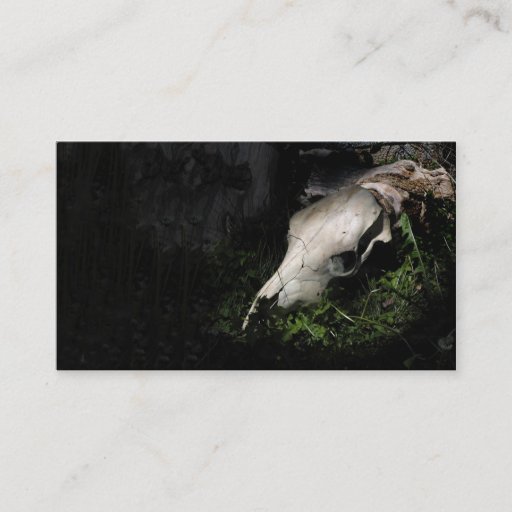 Customizable Cow skull profile or business card