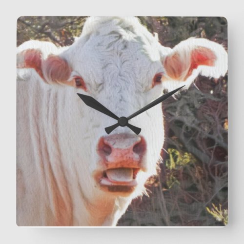 Cow Sticking Out Tongue Square Wall Clock