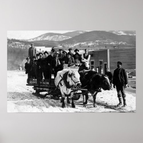 Cow Team Pulling Men in a Wagon Poster