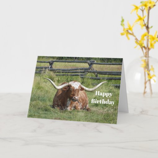 Cow Texas Longhorn Photo Birthday Card | Zazzle