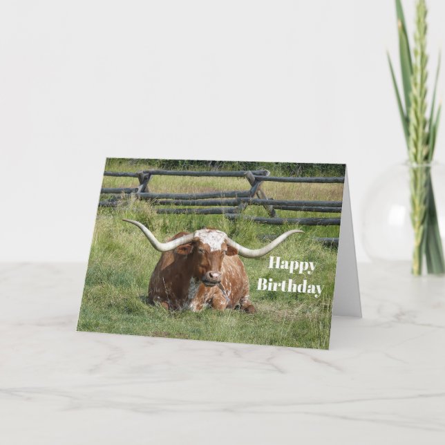 Cow Texas Longhorn Photo Birthday Card (Front)