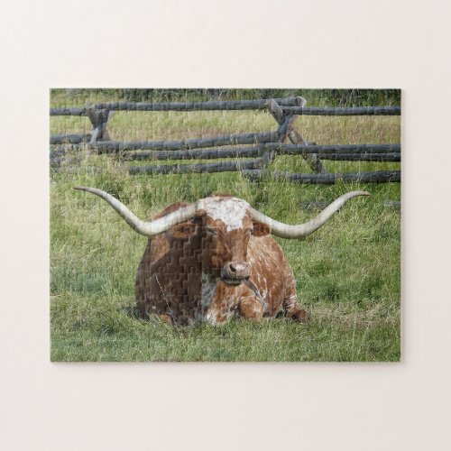 Cow Texas Longhorn Photo Jigsaw Puzzle