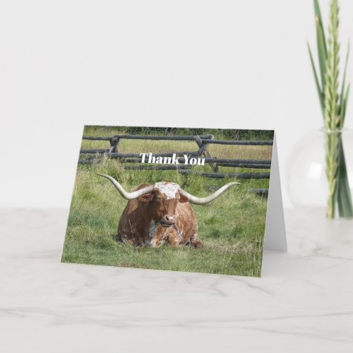 Cow Texas Longhorn Photo Thank You Card
