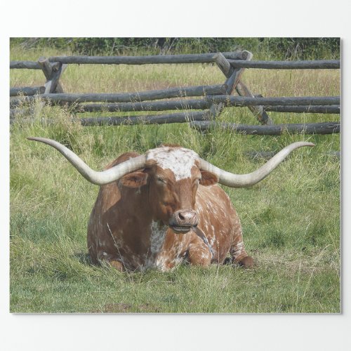 Cow Texas Longhorn Photo Wrapping Paper