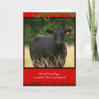 Cow Valentine Holiday Card