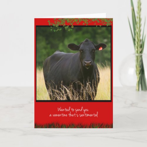 Cow Valentine Holiday Card