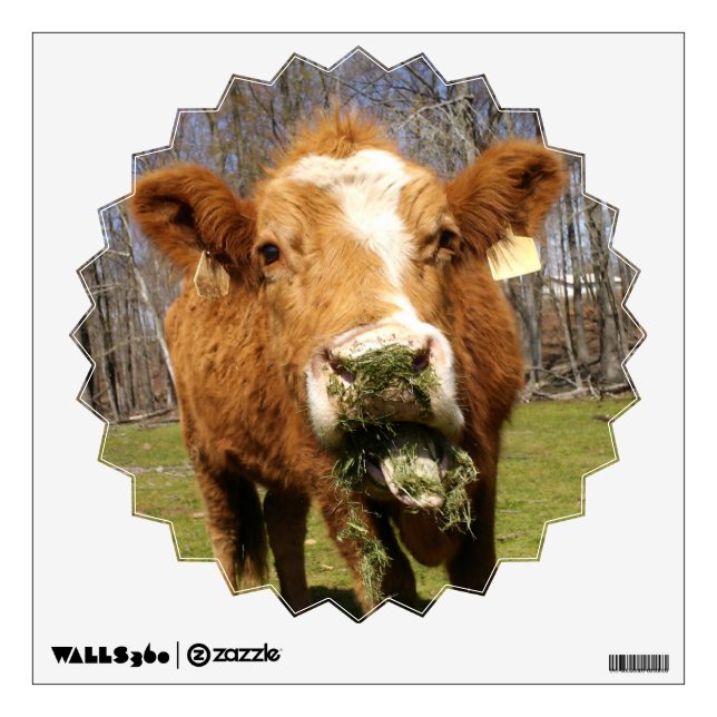 Cow Wall Decal (Front)