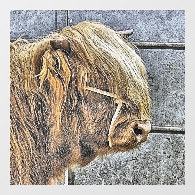 COW WALL DECAL  (Front)