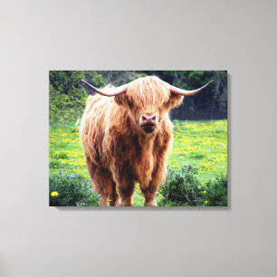 Cow with big horns beautiful nature scenery canvas print