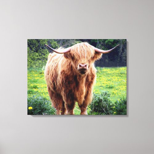 Cow with big horns beautiful nature scenery canvas print
