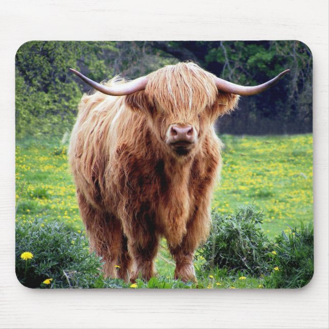 Cow with big horns beautiful nature scenery mouse pad (Front)