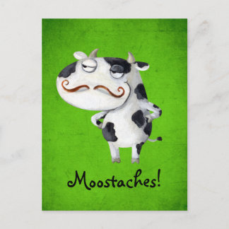 Cow with Mustaches Postcard