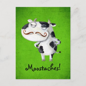 Cow With Mustaches Postcard by partymonster at Zazzle