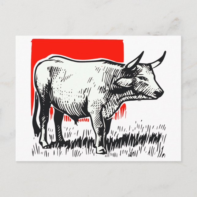 Cow Woodcut Postcard (Front)