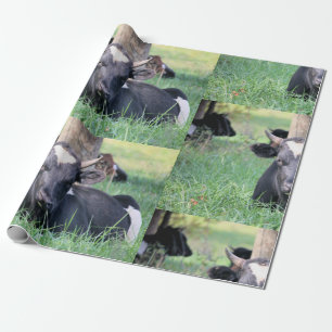 Cow Wrapping Paper