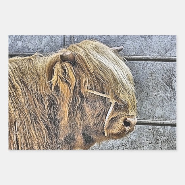 COW WRAPPING PAPER SHEETS (Front)