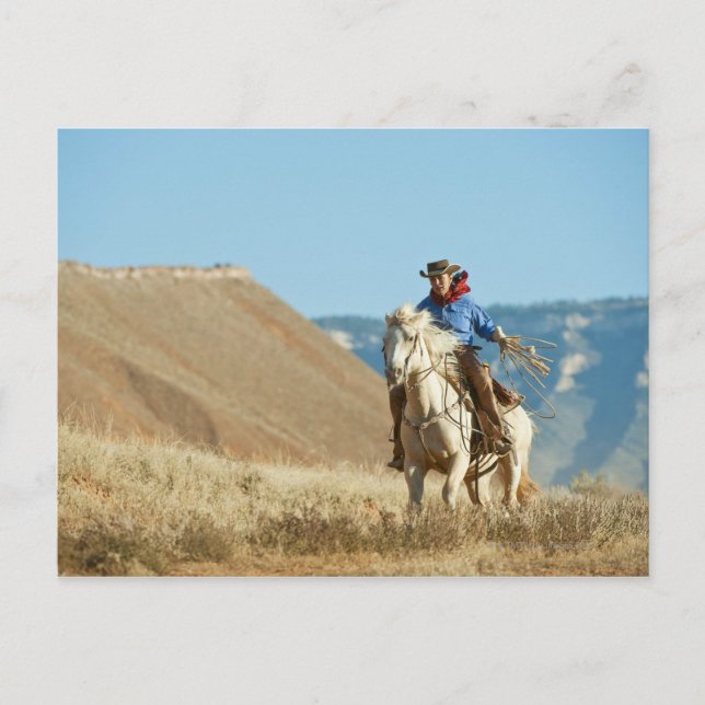 Cowboy 13 postcard (Front)