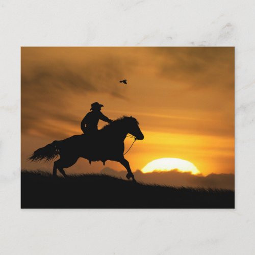 Cowboy and Horse Racing the Sundown Postcard