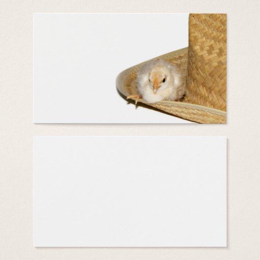 Cowboy baby chick profile card (Front & Back)